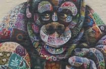 Graffitivel a veszélyeztetett állatokért