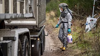 Heavy machinery is used by members of Danish health authorities, assisted by members of the Danish Armed Forces in disposing of dead mink in a military area near Holstebro.
