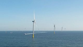 Energía eólica marina: camino a una Europa descarbonizada