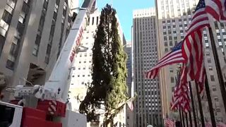 Áll már a fenyőfa a Rockefeller Központ előtt