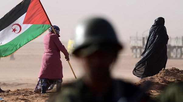 Polisario Front's flag Polisario Front's flag