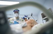 В Германии зафиксирован максимальный показатель смертности от COVID-19 за сутки