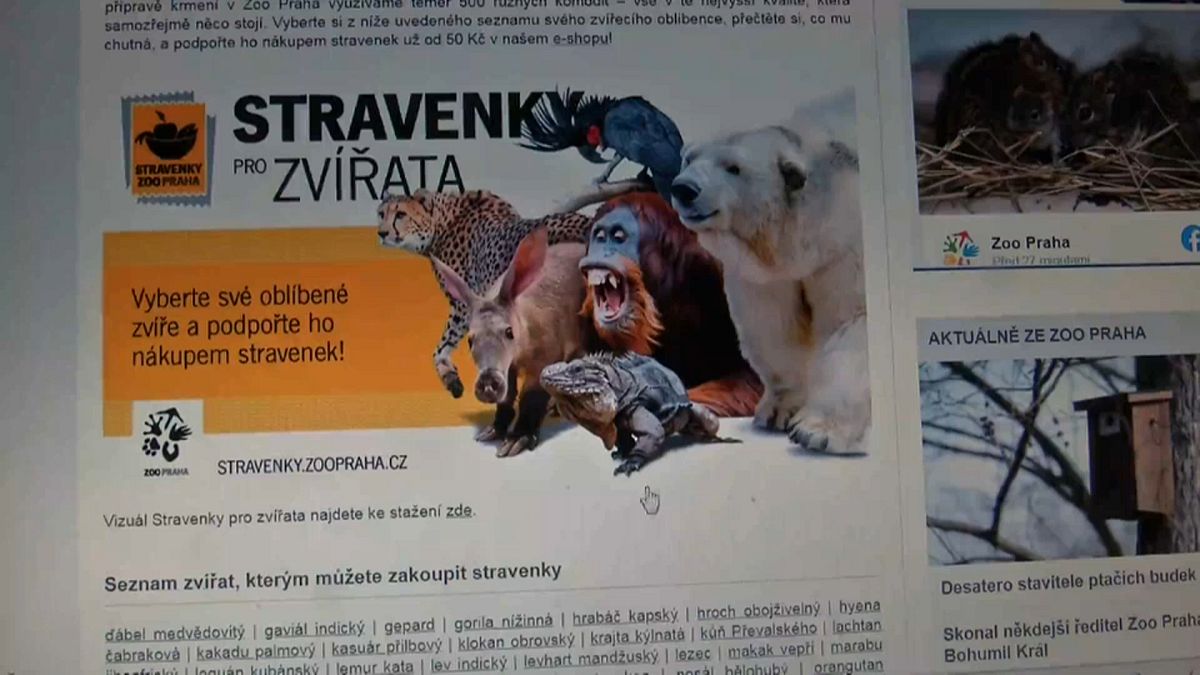 Zoo de Praga angaria fundos para alimentar animais