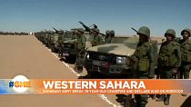 Soldiers next to armored vehicles in Western Sahara