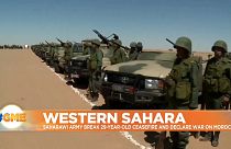 Soldiers next to armored vehicles in Western Sahara