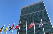 Die Vereinten Nationen 