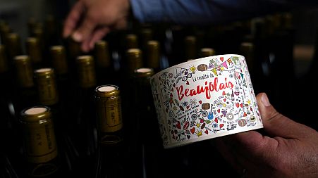 Tuesday, Nov. 12, 2019, a man picks a bottle of Beaujolais Nouveau in the Vinescence cellar in Saint Jean d'Ardieres, in the Beaujolais region