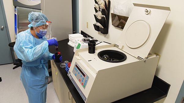 A koronavírus elleni vakcina fejlesztésének laboratóriumi szakasza a Modernában A koronavírus elleni vakcina fejlesztésének laboratóriumi szakasza a Modernában