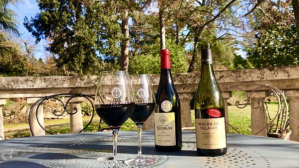 Beaujolais nouveau 2020 Beaujolais nouveau 2020