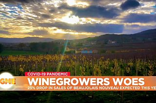 Vineyard in France's Beaujolais region