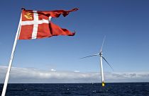 Bruxelas quer aposta nos parques eólicos offshore