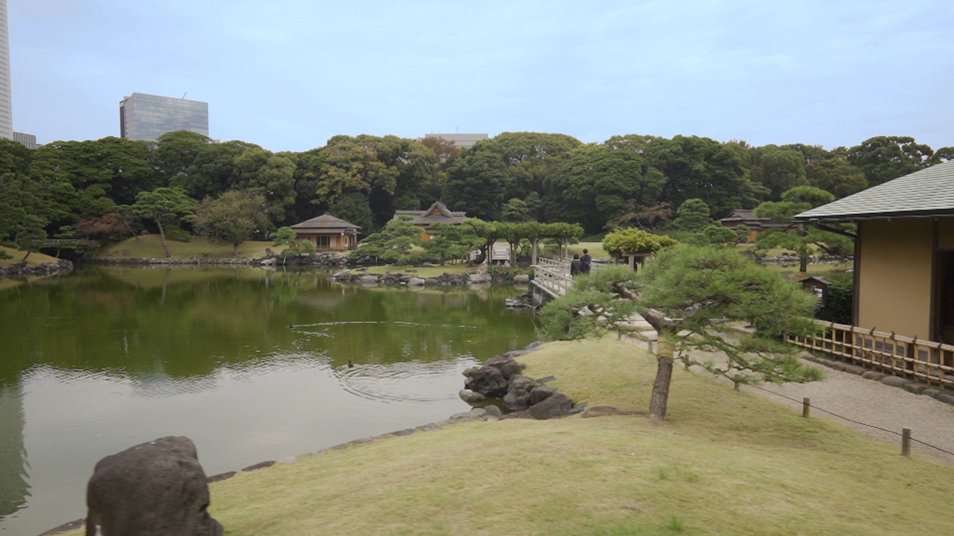 Tokyo Japan S City Garden Euronews