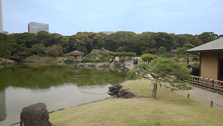 Tokyo: Japan's city garden