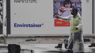 A container carrying doses of the CoronaVac vaccine is unloaded from a cargo plane that arrived from China at Guarulhos International Airport, near Sao Paulo.
