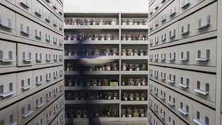 Vaults at the Millennium Seed Bank