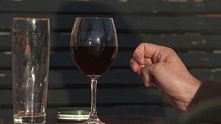Customer enjoying a glass of wine at a bar in Gotland, Sweden