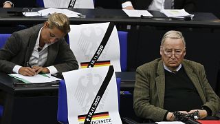 AfD-Protest im Bundestag