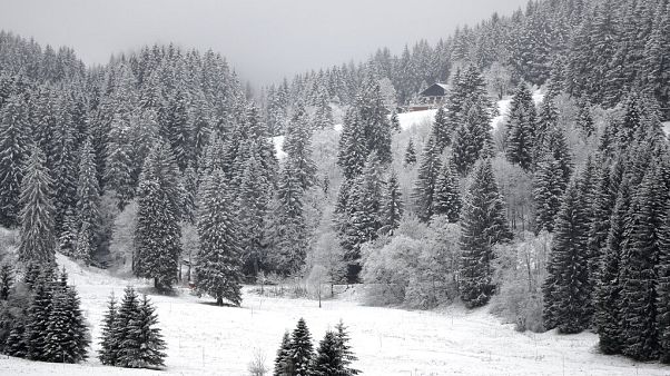 Schnee in Bayern Schnee in Bayern