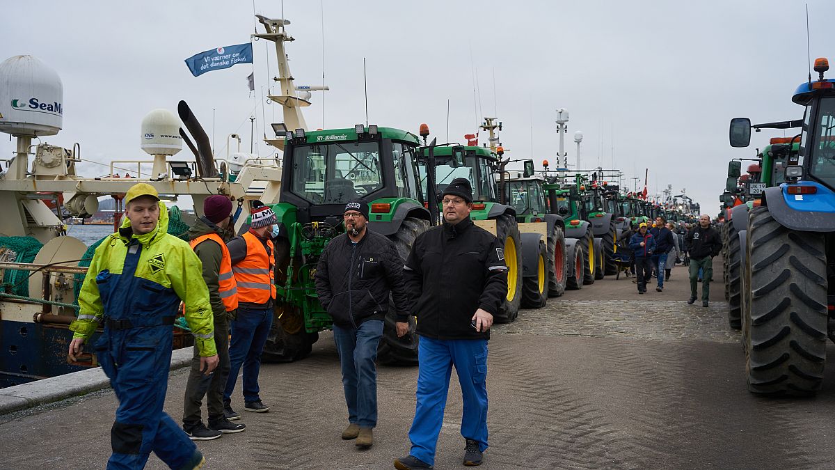 Danimarka'da vizonların itlaf edilmesine çiftçilerden traktörlü protesto