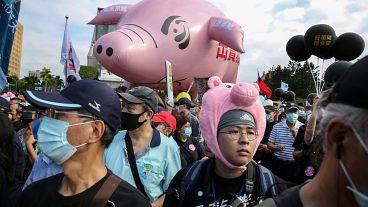 People attend the annual pro-labor march 'Autumn Struggle' to protest against the lifting of restrictions on US pork containing ractopamine feed additive, in Taipei.