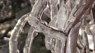 Eissturm über Wladiwostok: 150.000 Menschen ohne Strom bei -10 Grad