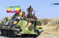Etiyopya federal hükümet askerleri