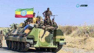 Etiyopya federal hükümet askerleri 
