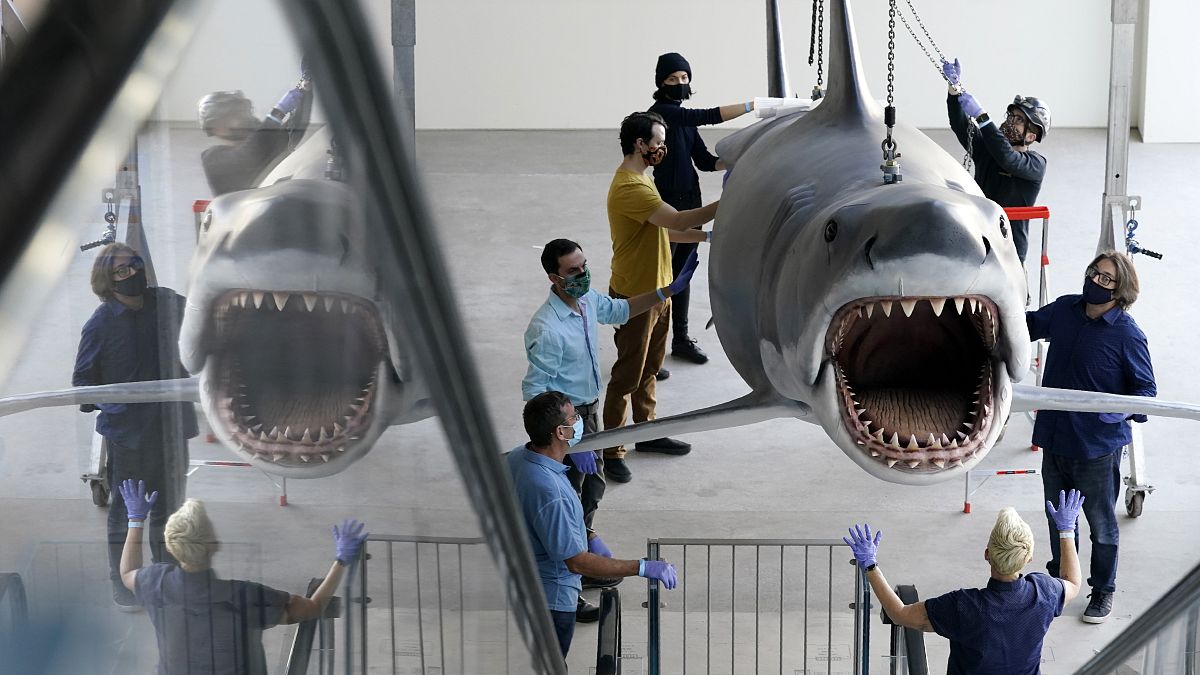 سمكة قرش ظهرت في فيلم سبيلبيرغ "دجوس" يتم تعليقها في متحف في لوس أنجلس. 2020/11/20 