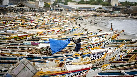 Maladie des pêcheurs : les analyses se poursuivent 
