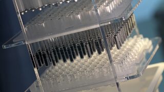 BioNTech ve Pfizer, Moderna ile AstraZeneca ve Oxford Üniversitesi koronavirüs aşısı çalışmalarını sürdürüyor