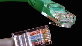 Two network cables are pictured in Frankfurt, central Germany, Tuesday, March 2, 2010. 