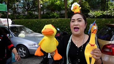Mid shot vender selling a yellow duck -- a protest symbol -- and yellow chicken for sale