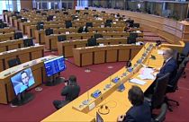 Virtuelles Treffen Navalnys mit dem Europäischen Parlament
