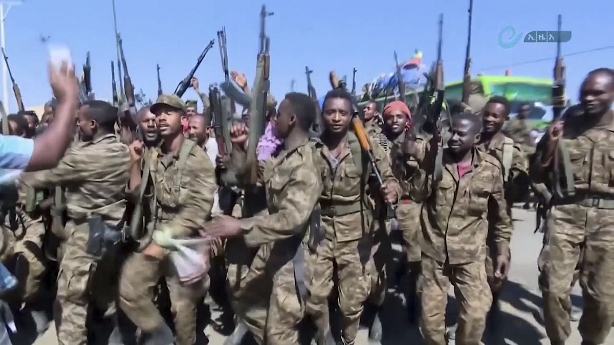 Etiyopya'da isyancı güçler TPLF'ye karşı yürütülen askeri operasyon tamamlandı