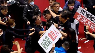 Tayvan Parlamentosu'nda domuz bağırsaklı kavga