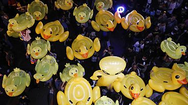 The ducks have become a symbol of the protest movement