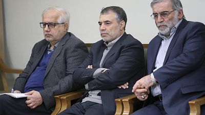 Физик-ядерщик Мохсен Фахризаде (справа) на встрече с Высшим руководителем Ирана Али Хаменеи