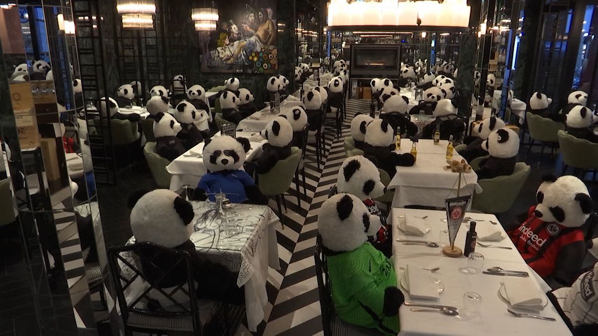 Pandákkal tiltakozik egy német éttermes a járványszigor ellen