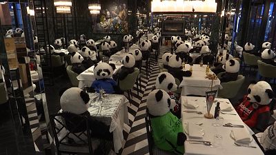 Panda-Pandemie-Protest: "Setz mal ein paar Bärchen auf die Stühle!"