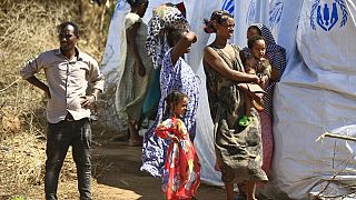 Sudan needs $150 mln to tackle refugee crisis