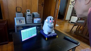 Plaudern mit PaPeRo: Ein Roboter gegen die Einsamkeit