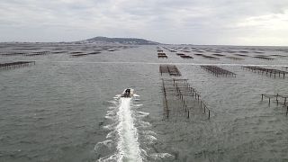 Lucha contra le erosión en el lido de Marseillan