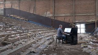 Paul Barton playing piano for wild macaques that live in an abandoned cinema in Lopburi, Thailand.