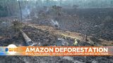 Brazil rain forest burned to the ground