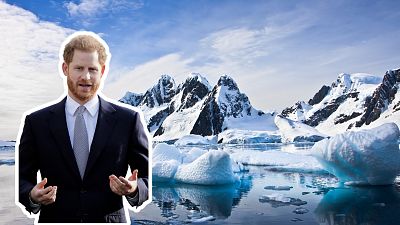 Prince Harry endorses new environmental streaming platform, WaterBear. Prince Harry endorses new environmental streaming platform, WaterBear.