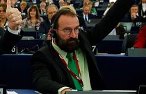 یوزف سایر در پارلمان اروپا