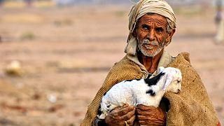 A Bedouin male walking in the desert