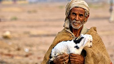 A Bedouin male walking in the desert