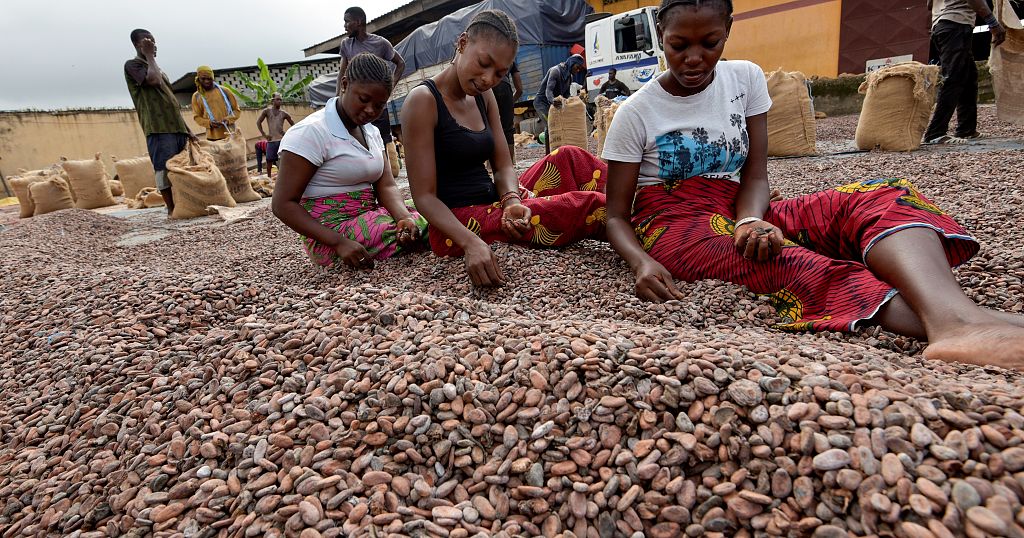 Les planteurs de cacao menacent de "boycotter" les multinationales