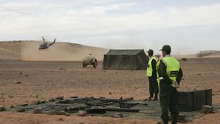 أرشيف - من تدريبات عسكرية سابقاً للمغرب في الصحراء الغربية